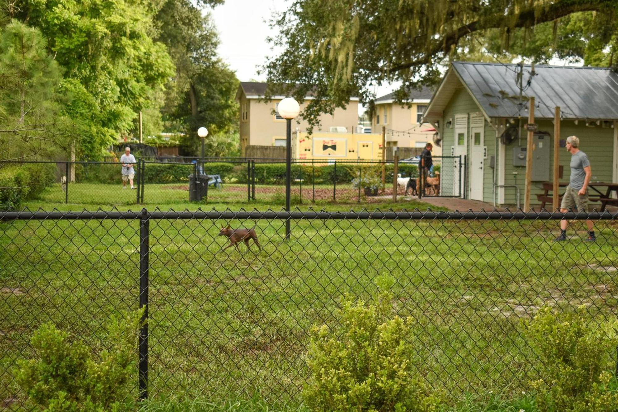 The Midtown Homestay